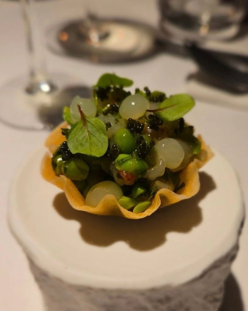 WhatsApp Image 2026-01-24 at 12.57.15 (2).jpeg