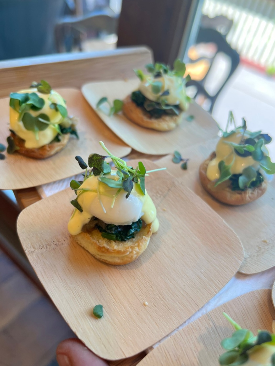 IMG_6502.jpeg IMG_6502.jpeg