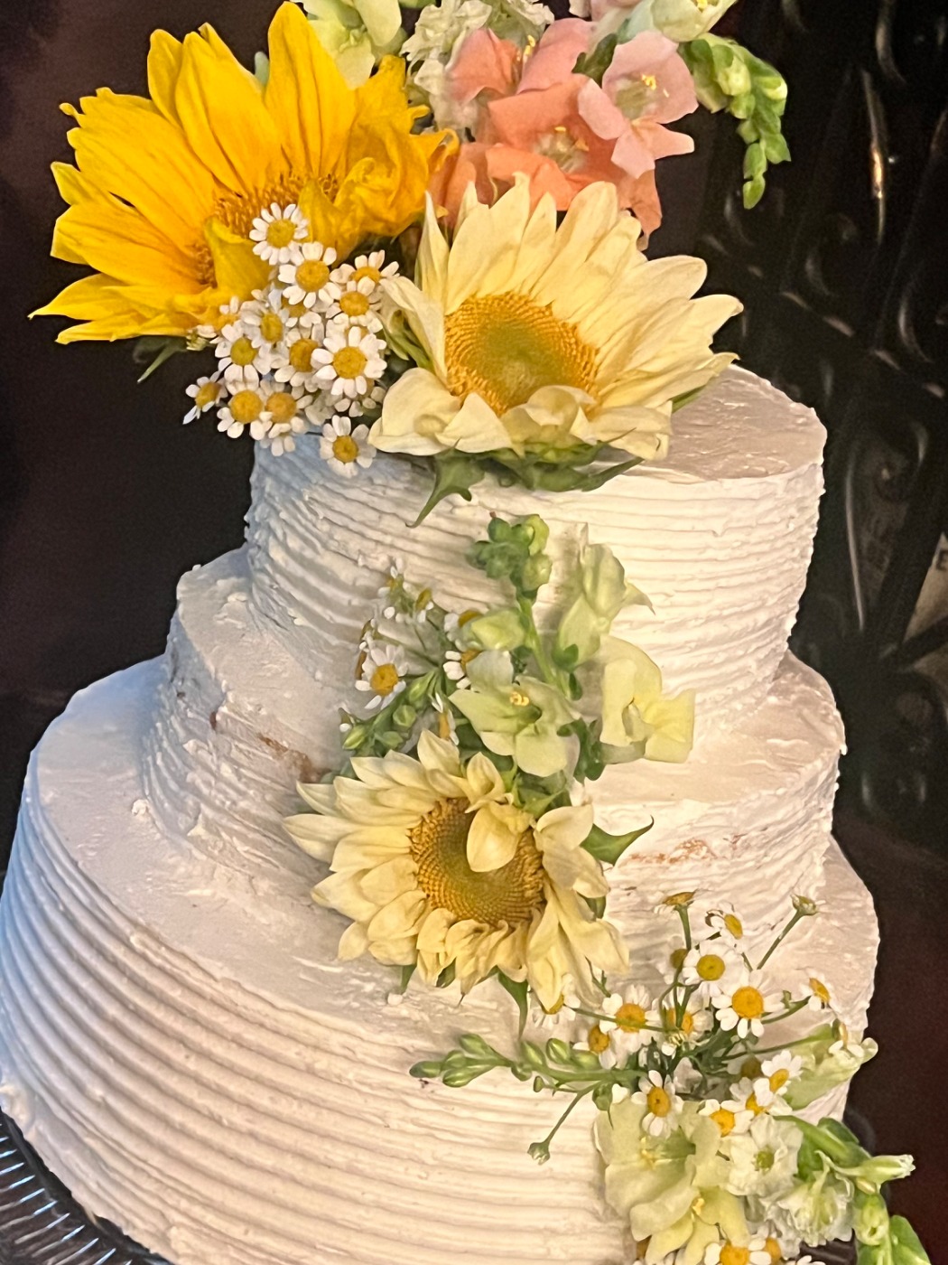 IMG_6898.jpeg IMG_6898.jpeg