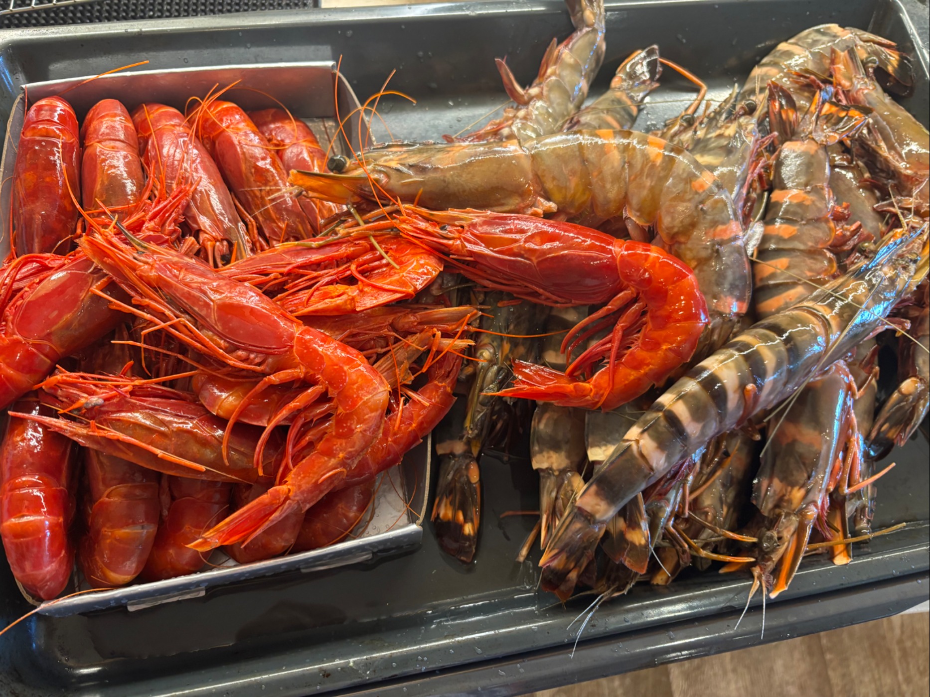 IMG_0223.jpeg IMG_0223.jpeg