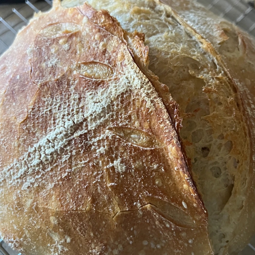 IMG_9248.jpeg IMG_9248.jpeg