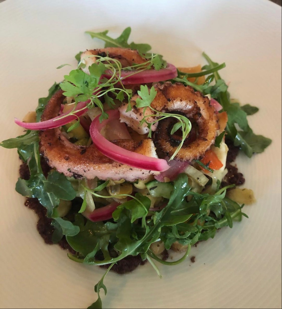 IMG_2550.jpeg IMG_2550.jpeg