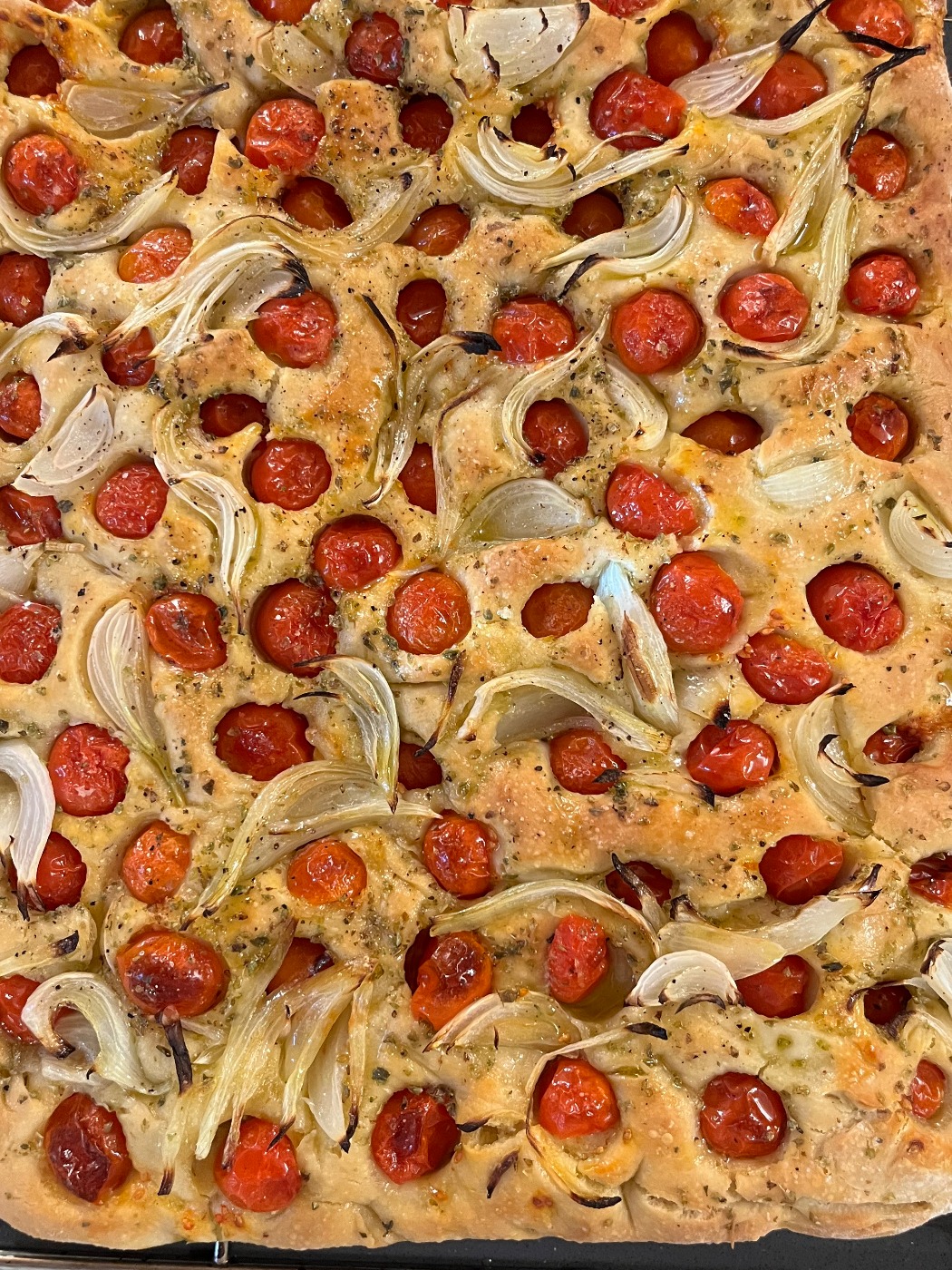 IMG_8154.jpeg IMG_8154.jpeg