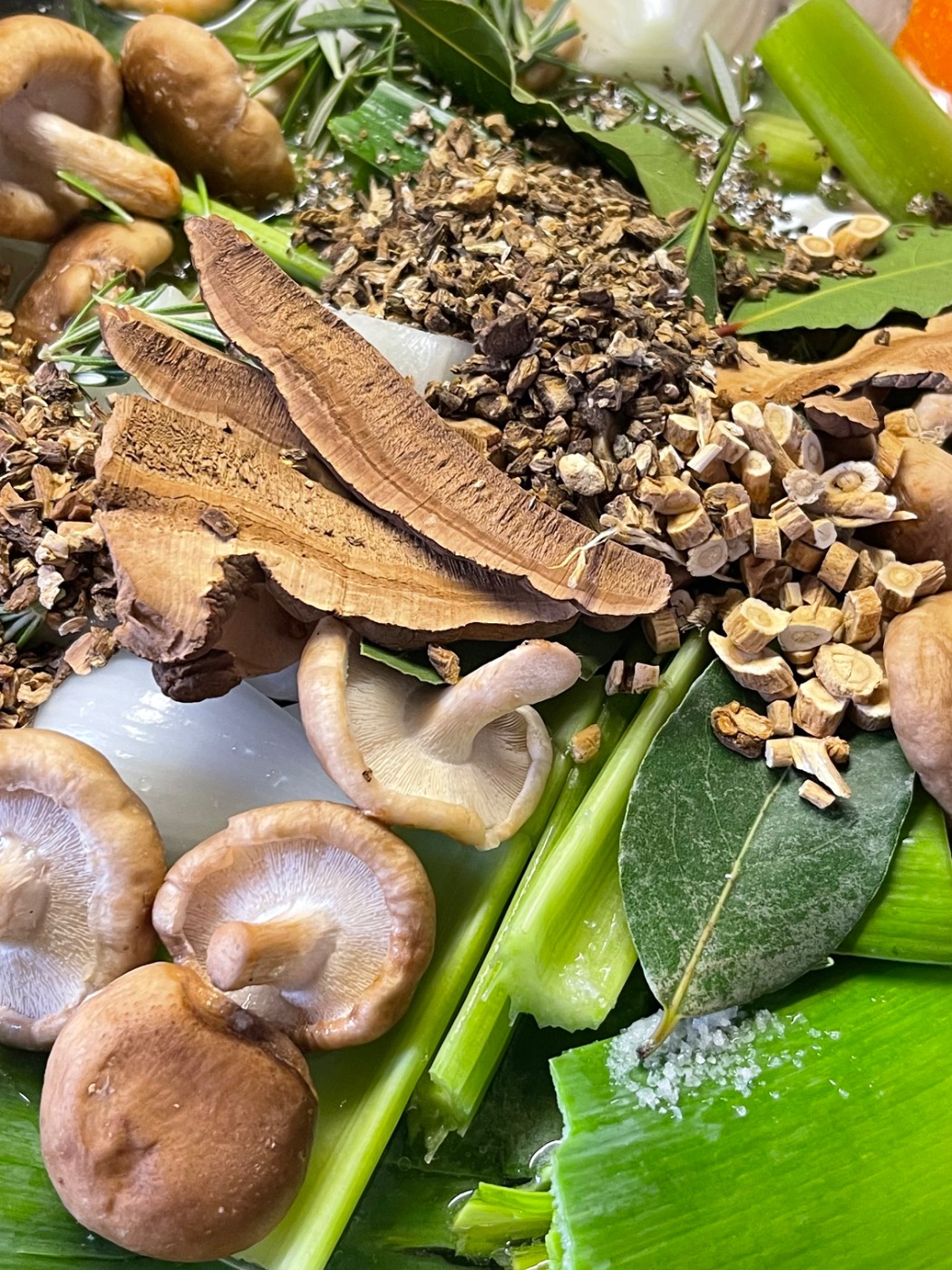 IMG_1836.jpeg IMG_1836.jpeg