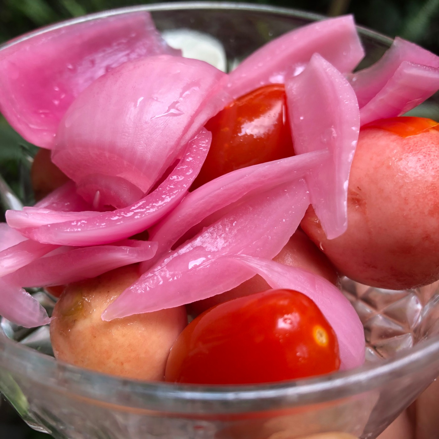 IMG_8896.jpeg IMG_8896.jpeg