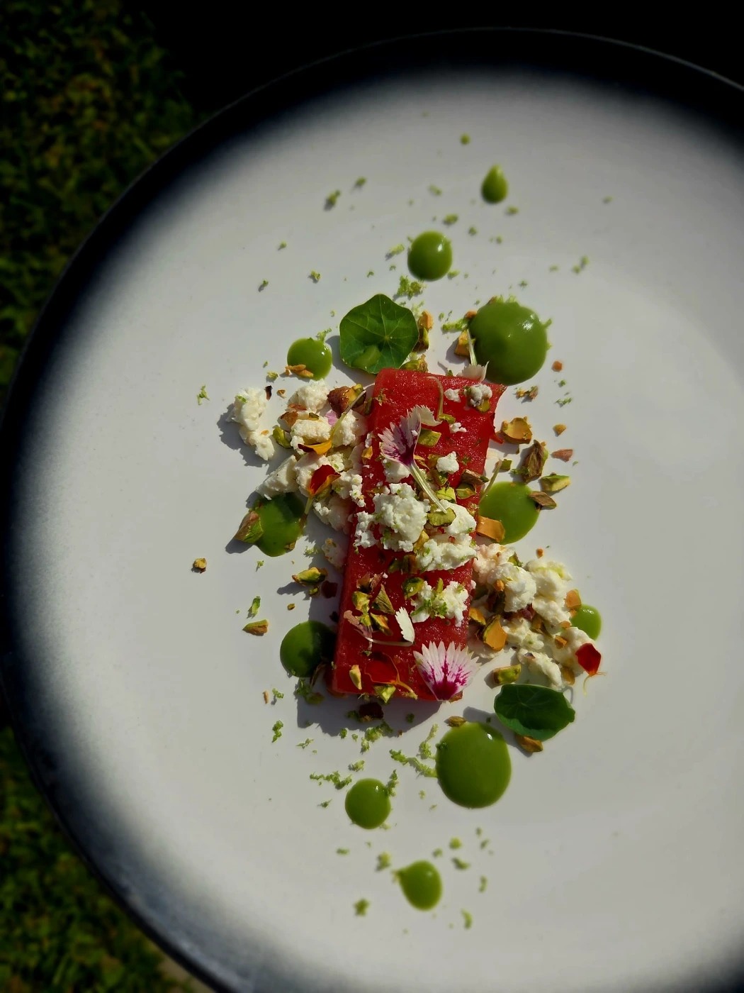 compressed watermelon.jpeg