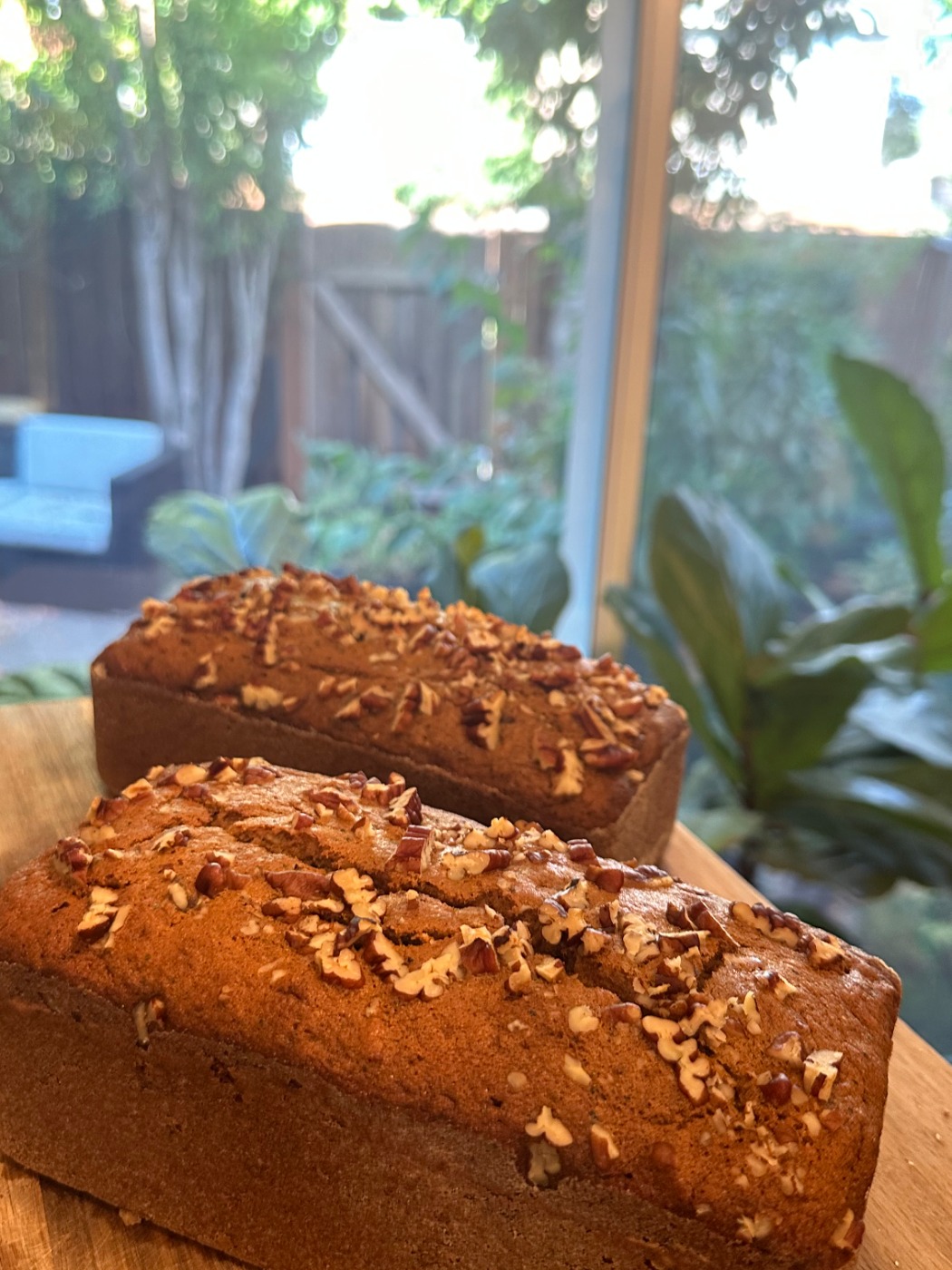 IMG_5524.jpeg IMG_5524.jpeg