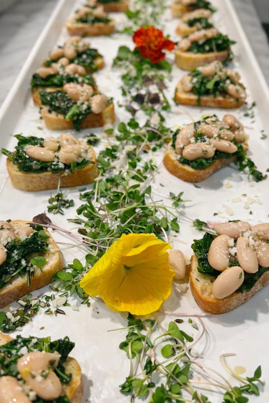 ChatGPT Image Feb 4, 2026, 11_50_22 AM.png