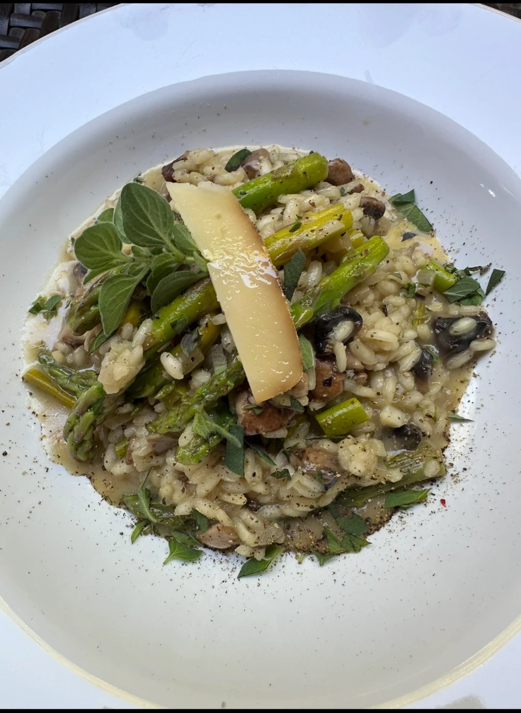 IMG_0402 2.jpg IMG_0402 2.jpg