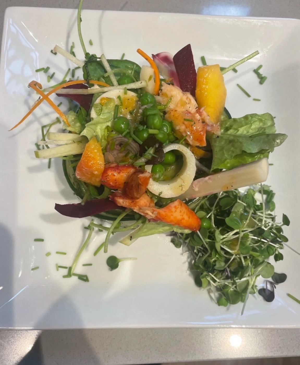 IMG_0409 2.jpg IMG_0409 2.jpg