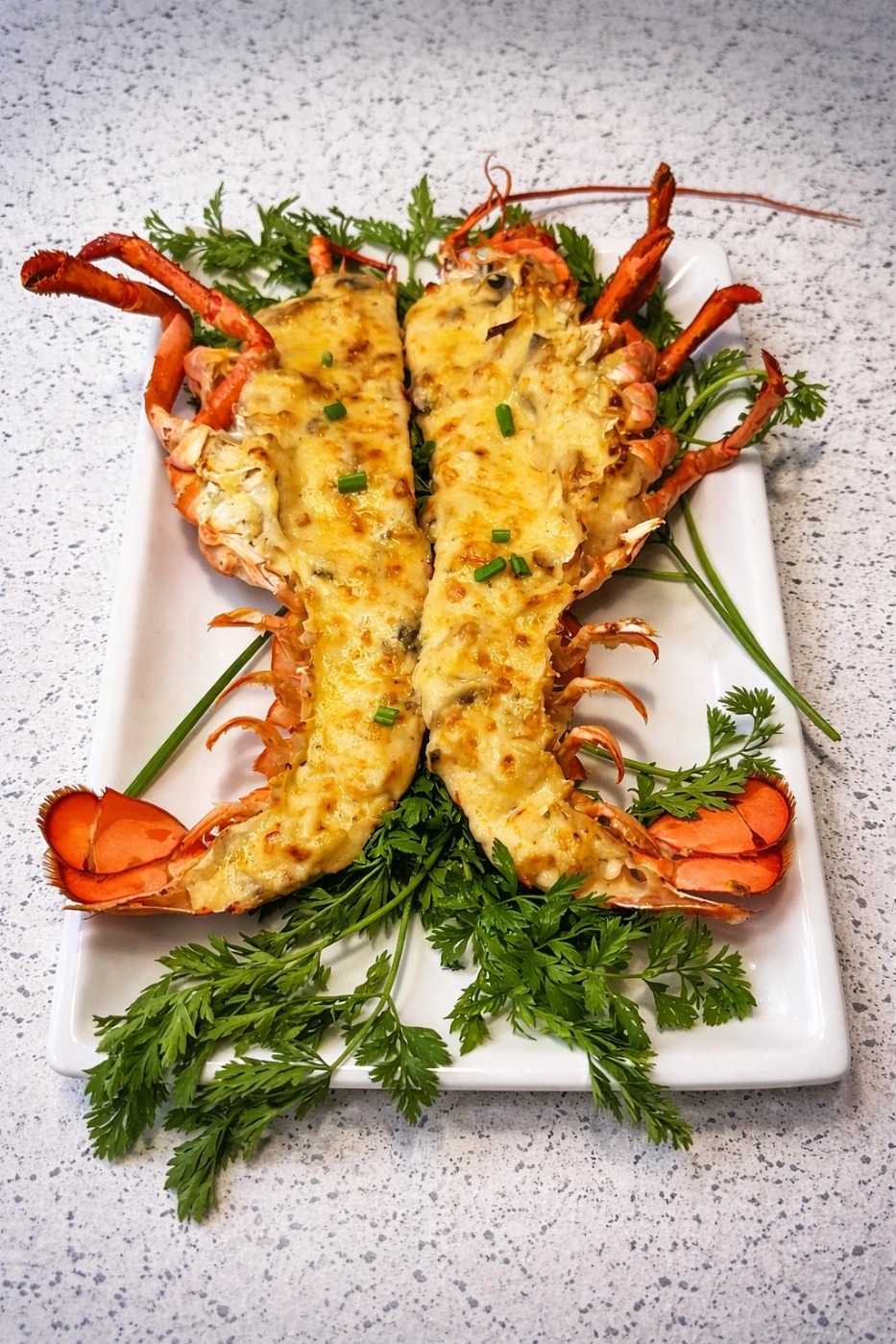 ChatGPT Image 4 feb 2026, 01_00_08 p.m..png