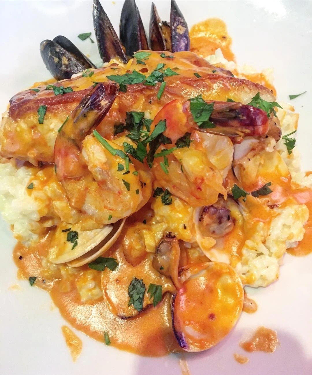 18513765_1228189203970409_6928745098511384576_n.jpg 18513765_1228189203970409_6928745098511384576_n.jpg