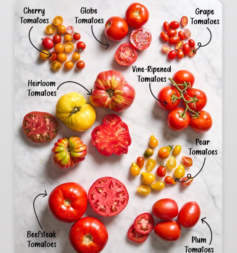 AF18EDD8-4426-4641-94DF-A033597D576E.jpeg AF18EDD8-4426-4641-94DF-A033597D576E.jpeg