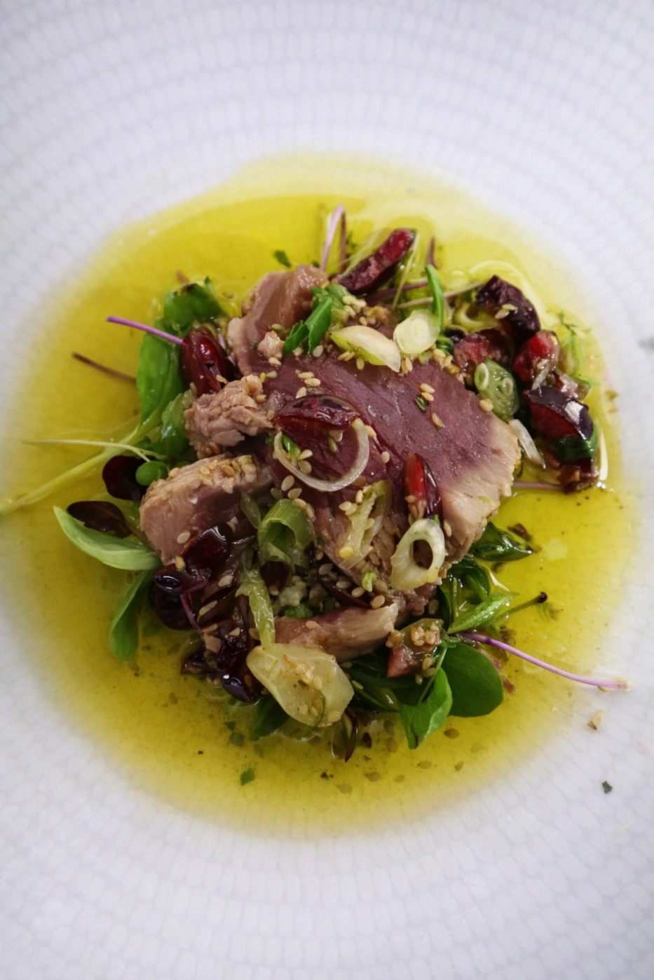 ChatGPT Image 4 feb 2026, 10_02_10 p.m..png