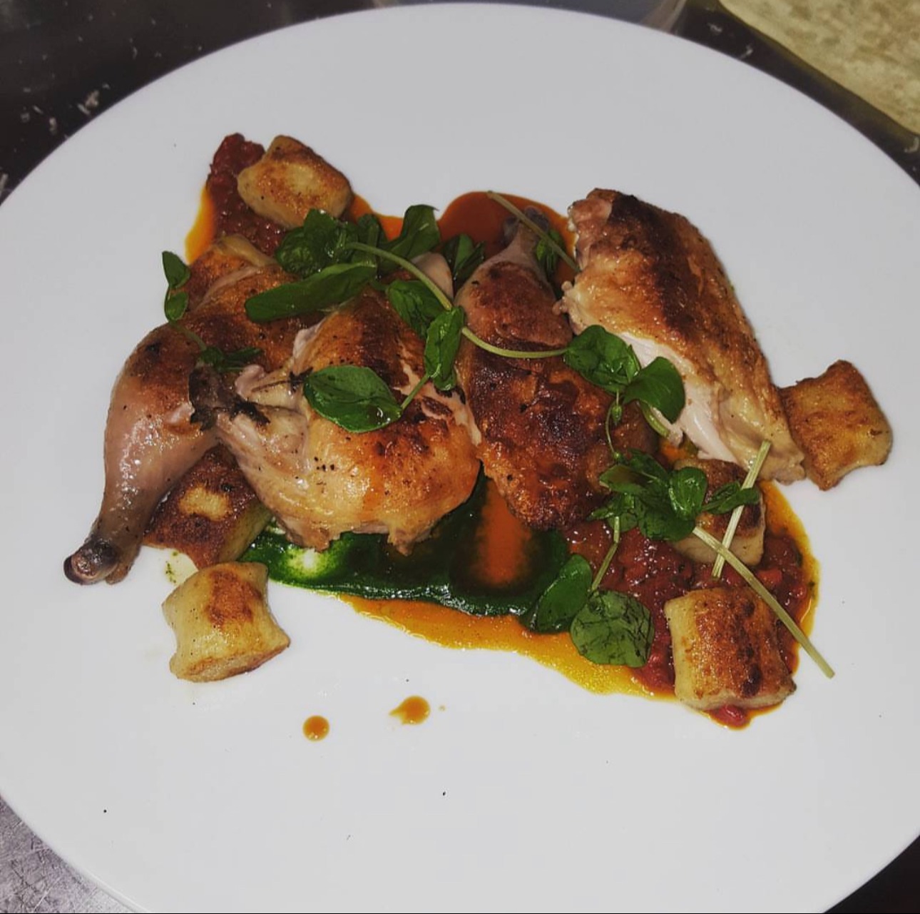 IMG_4749.jpeg IMG_4749.jpeg