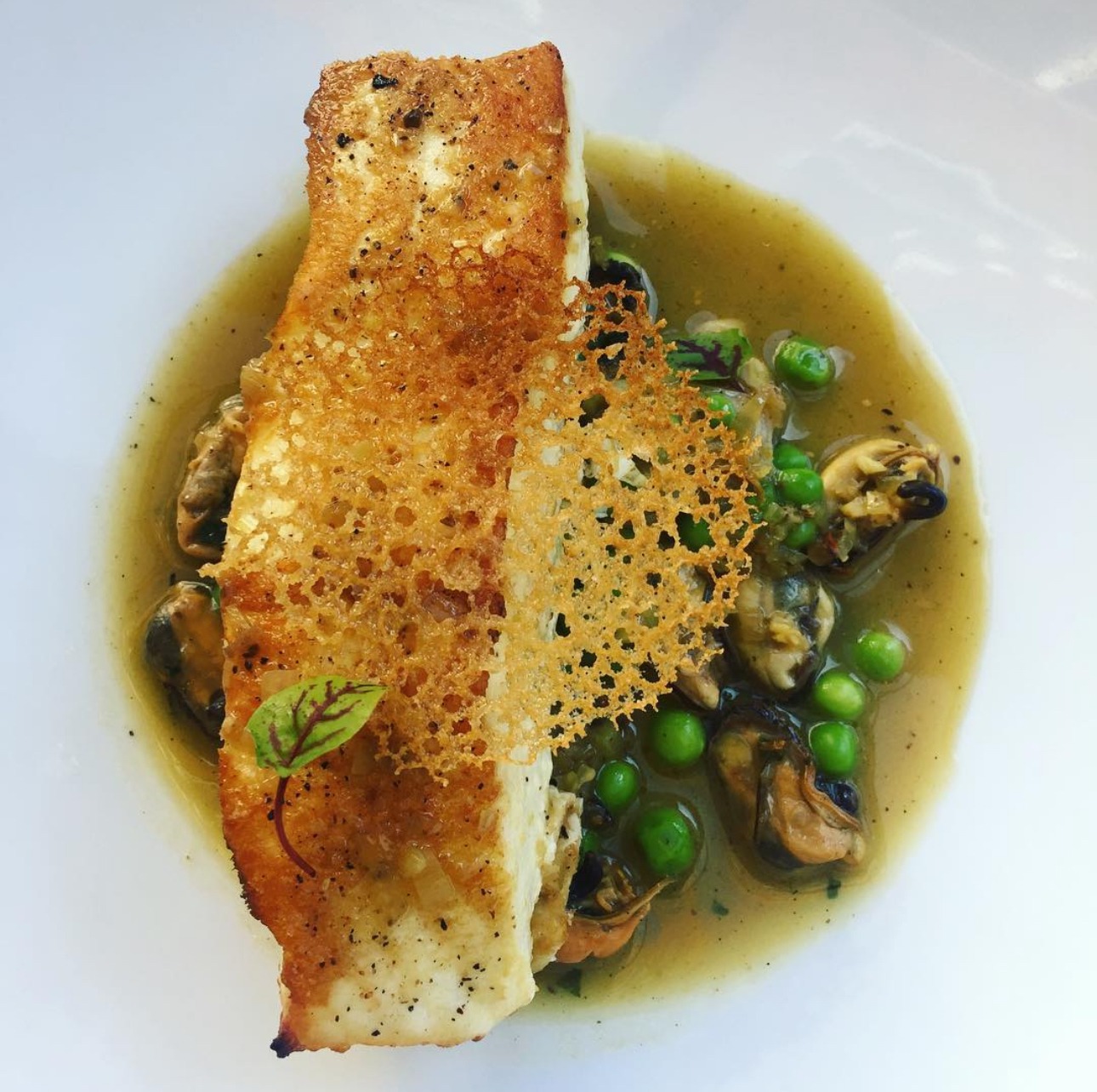 IMG_4158.jpeg IMG_4158.jpeg