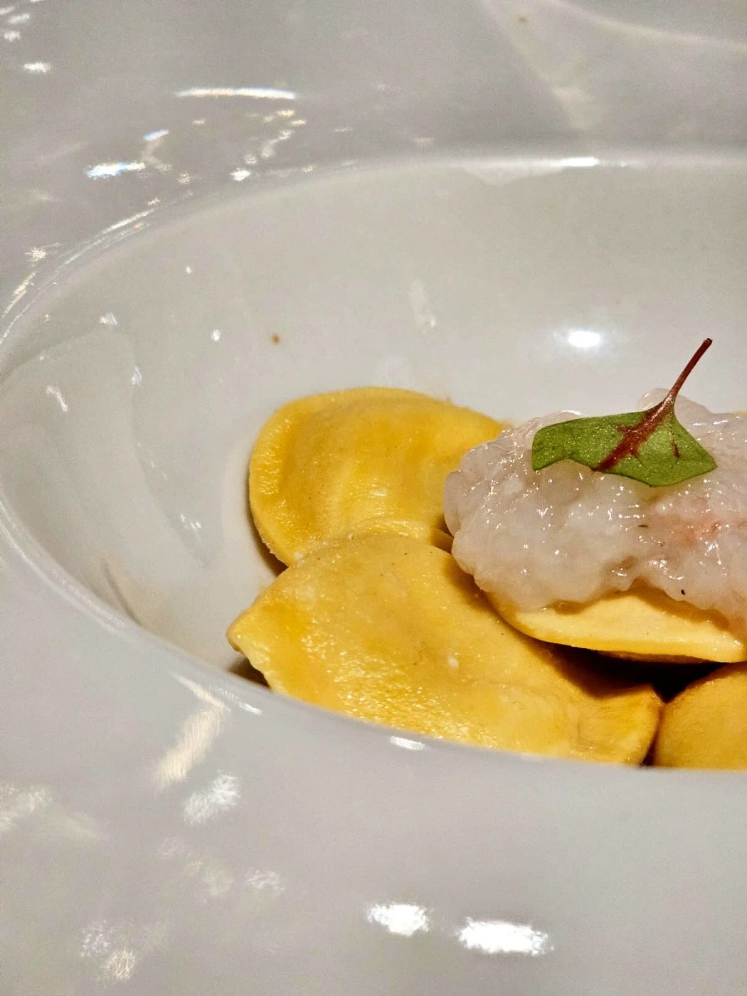 517964109_18053819051580762_3779784121290300881_n.jpg 517964109_18053819051580762_3779784121290300881_n.jpg