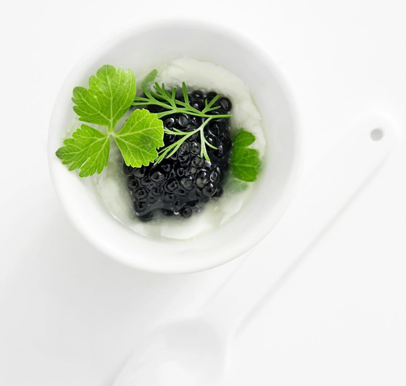 450540923_1025199965878017_7026655564339417408_n.jpg 450540923_1025199965878017_7026655564339417408_n.jpg