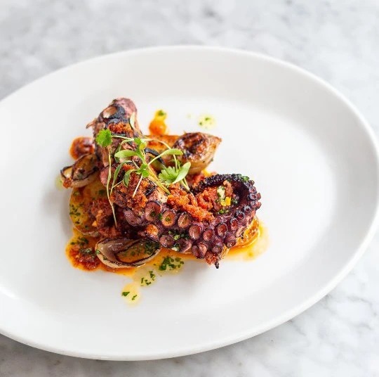 497852760_1451939702884110_9011624569360921359_n.jpg 497852760_1451939702884110_9011624569360921359_n.jpg