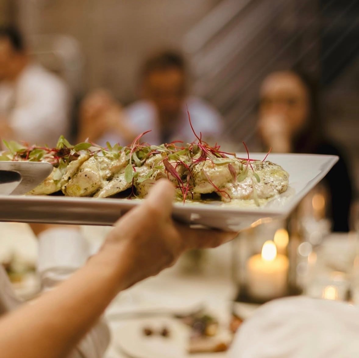 IMG_6243.jpeg IMG_6243.jpeg