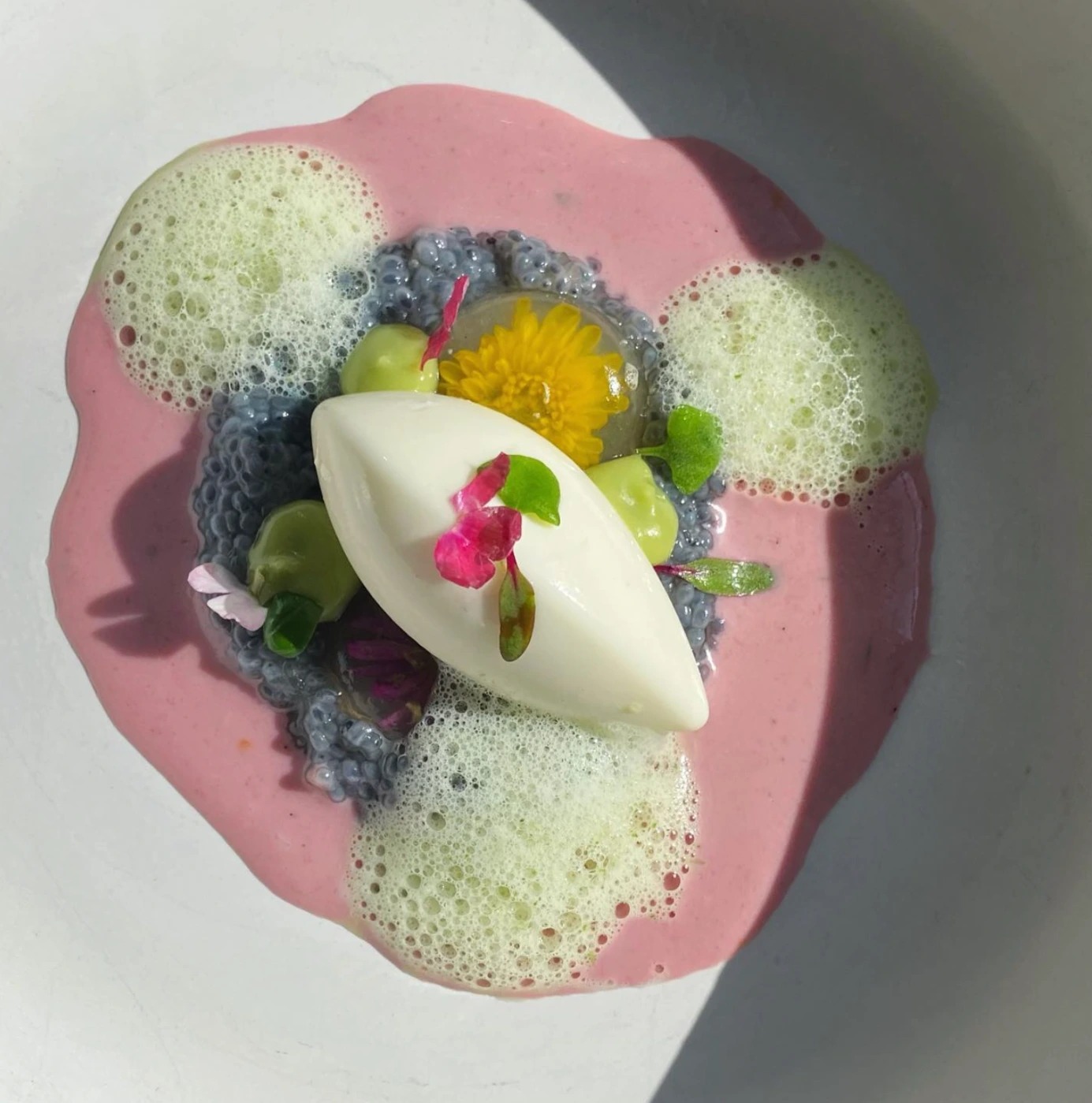 Screenshot 2026-02-05 at 1.13.49 p.m..png Screenshot 2026-02-05 at 1.13.49 p.m..png