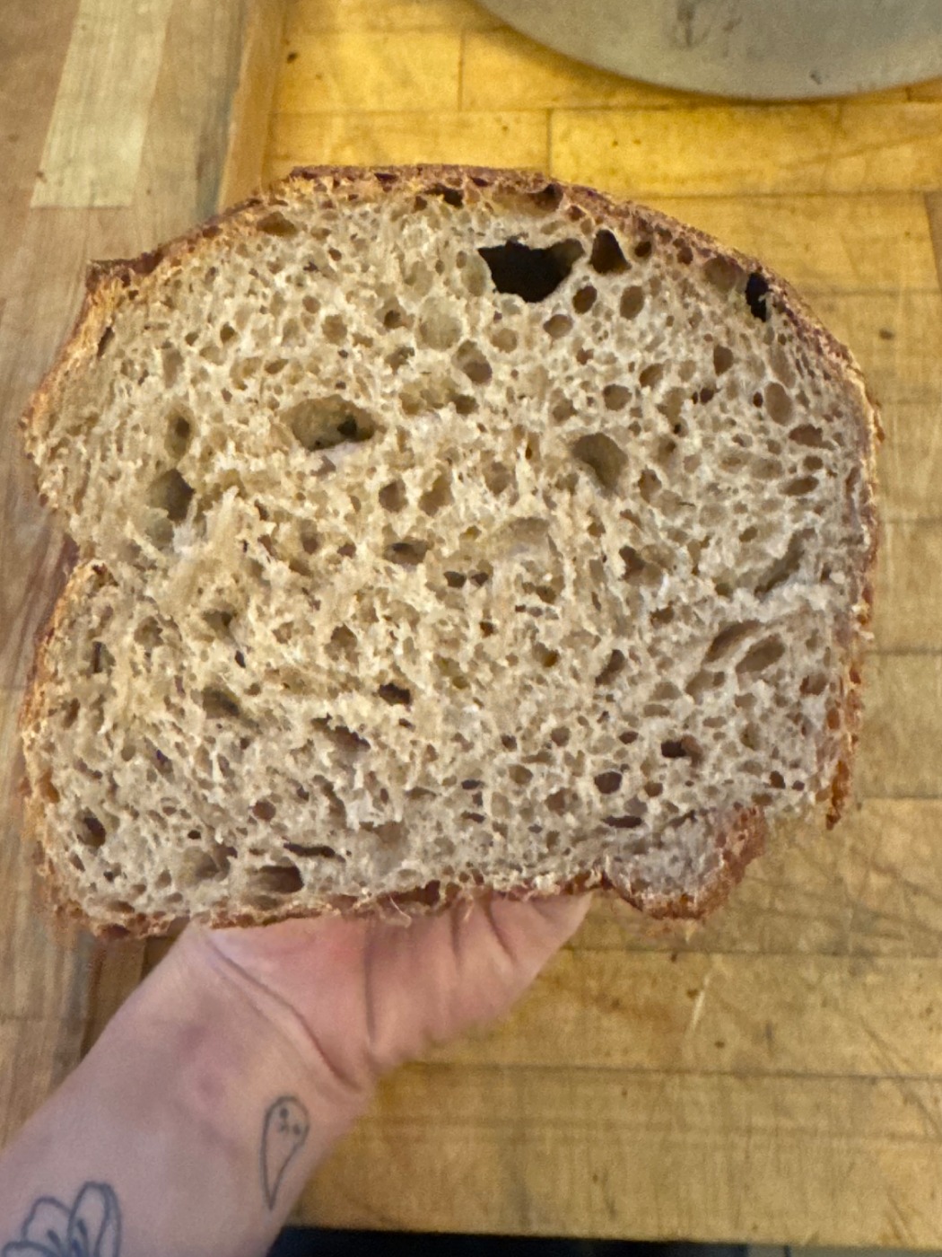 IMG_3131.jpeg IMG_3131.jpeg