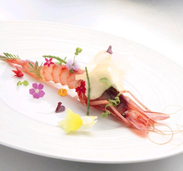 1000042637.png 1000042637.png