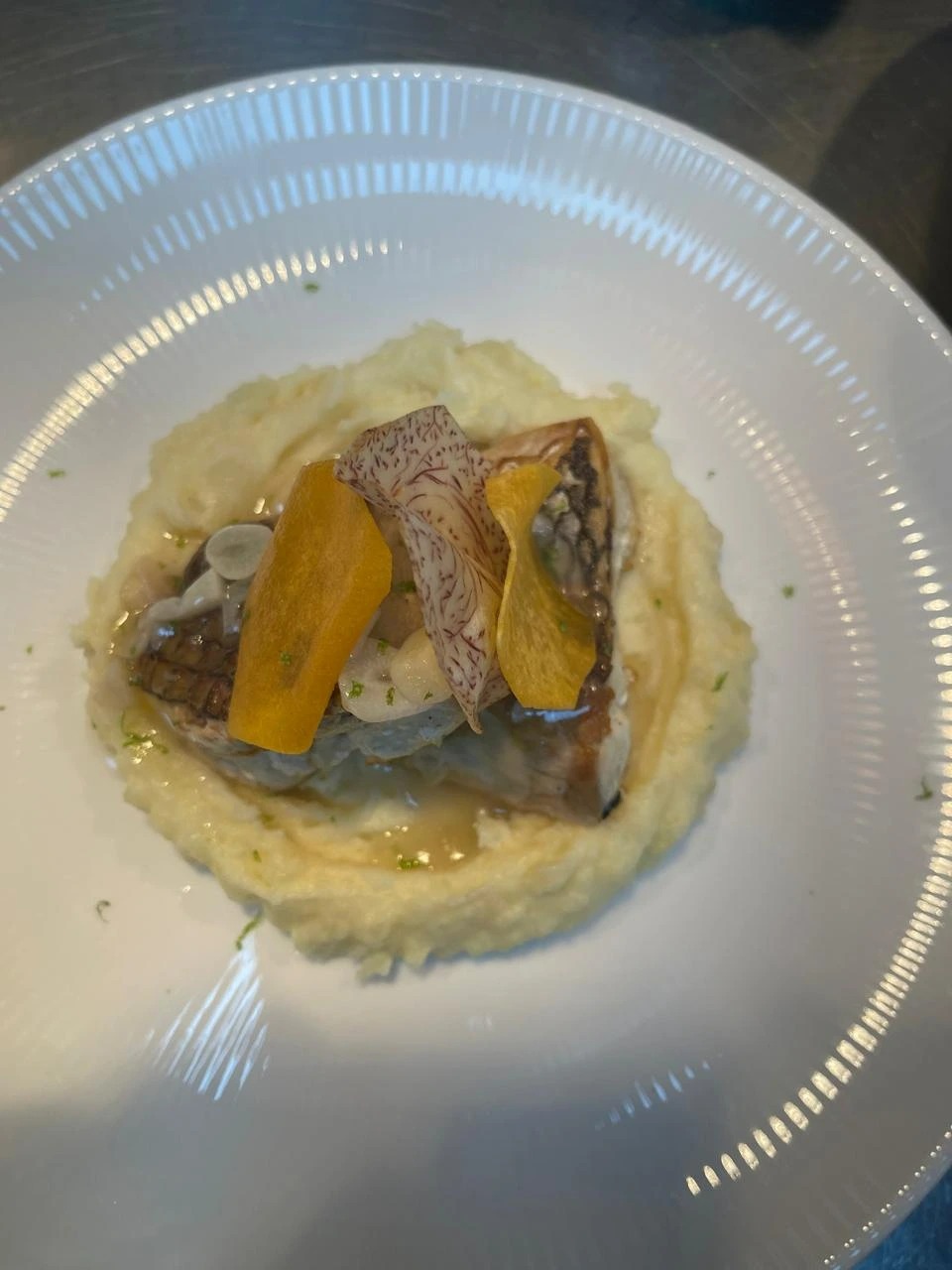 WhatsApp Image 2026-02-06 at 2.32.03 PM (8).jpeg