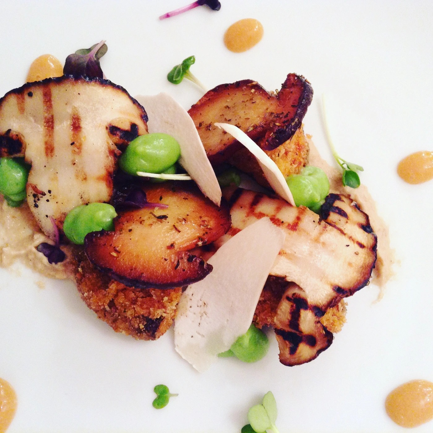 FOUR WAY FOR ONE PORCINO MUSHROOM.JPG