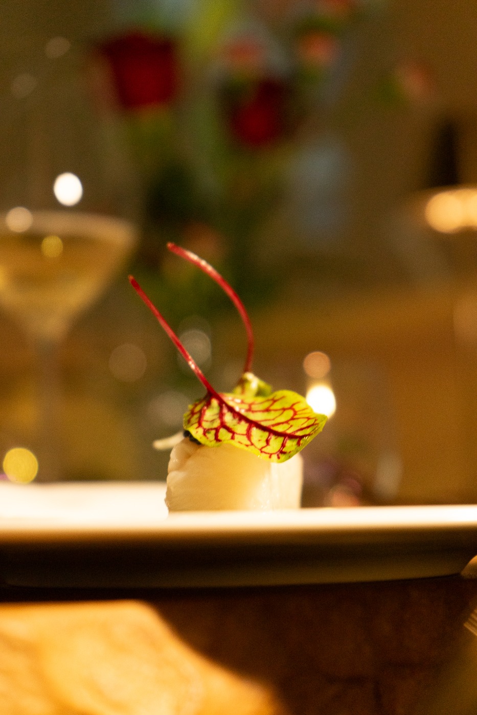 Diana Codreanu-17723.jpeg