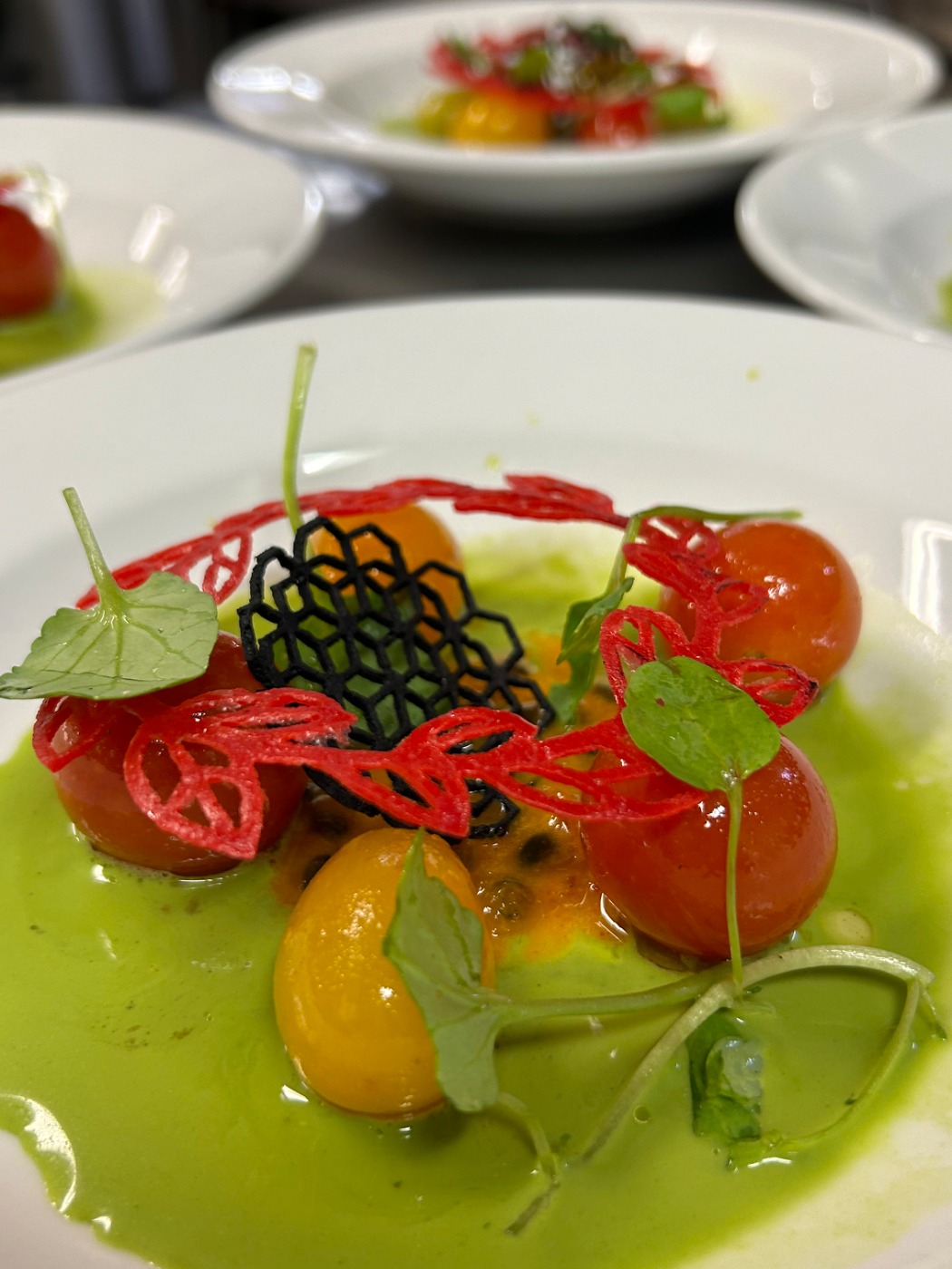 1179862.jpg 1179862.jpg