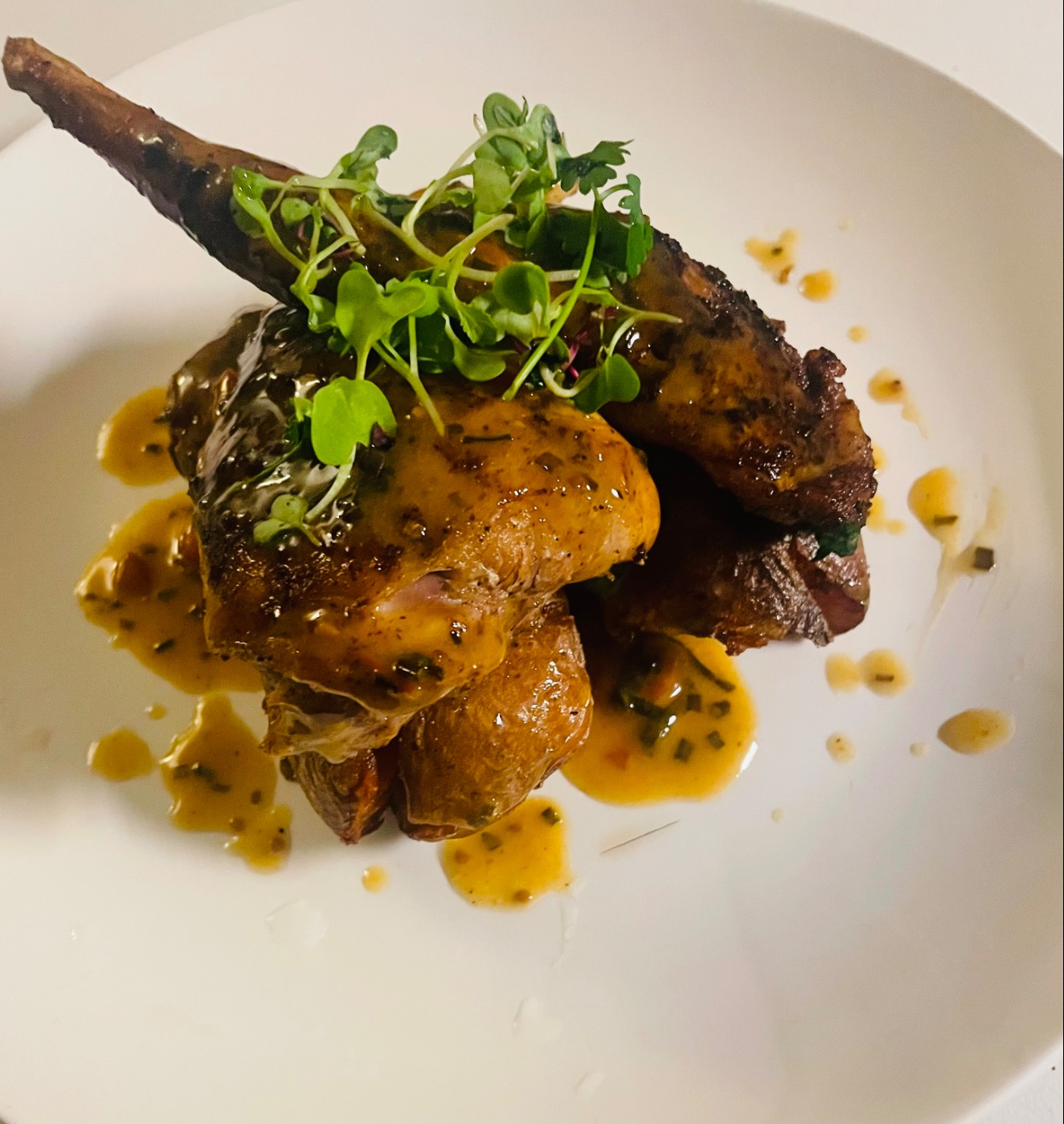 IMG_8350.jpeg IMG_8350.jpeg