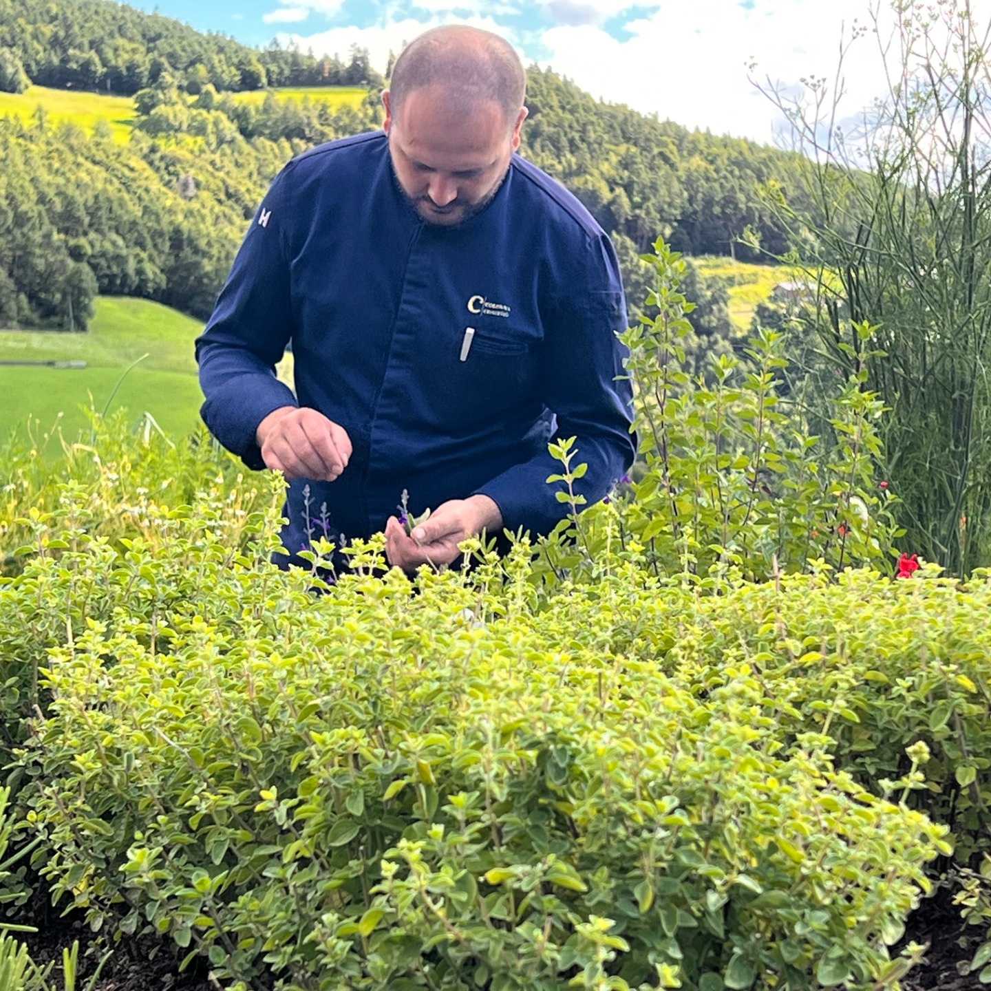 Foto di Francesco Colonna