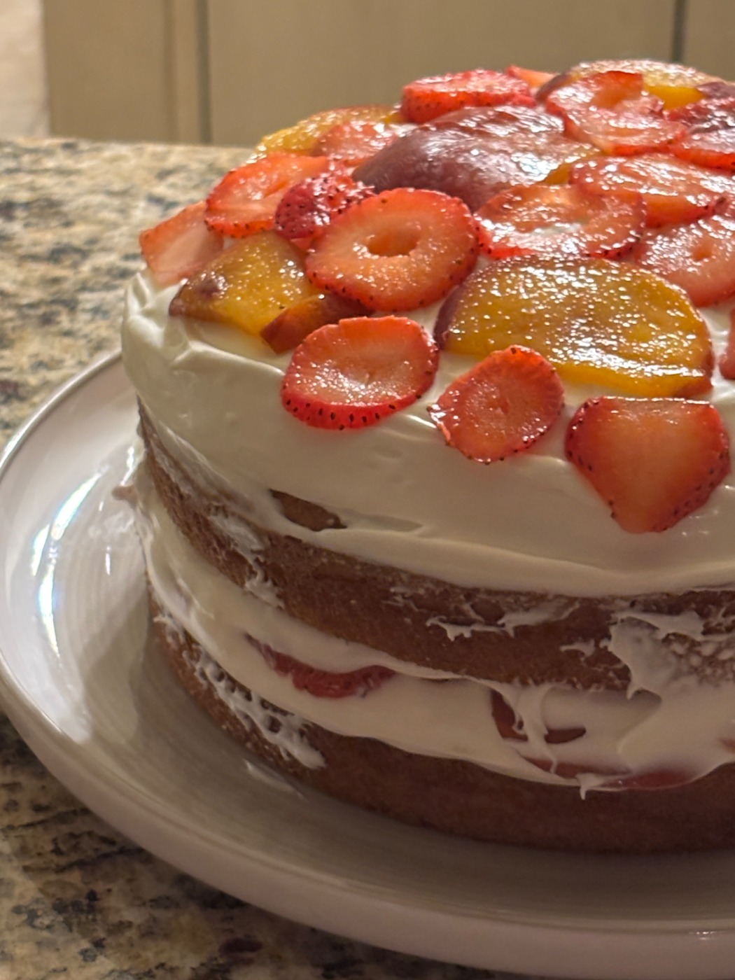 IMG_9981.jpeg IMG_9981.jpeg