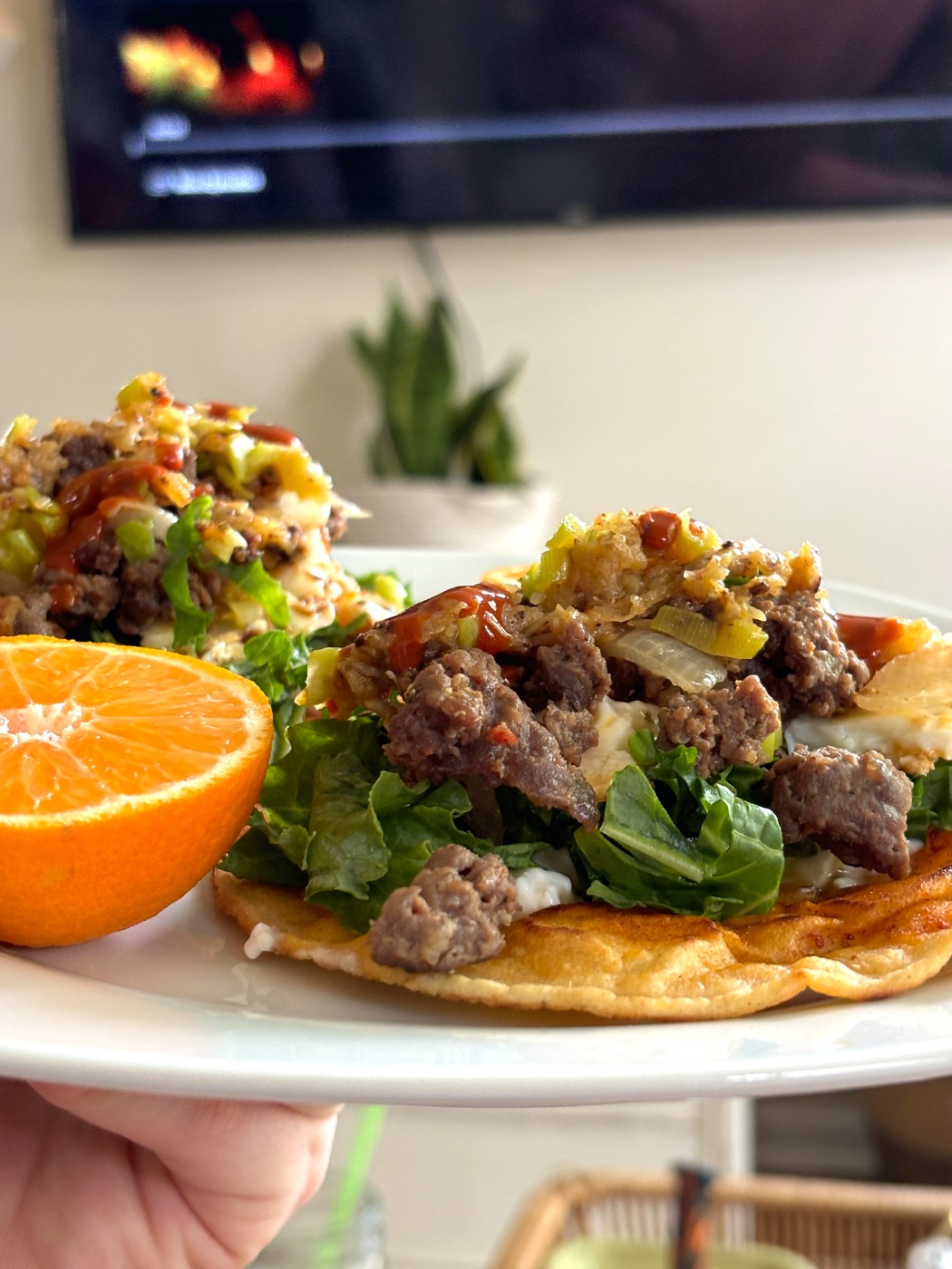 IMG_0236.jpeg IMG_0236.jpeg