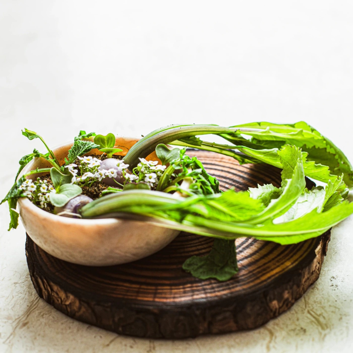 WhatsApp Image 2023-04-27 at 15.47.16.jpeg