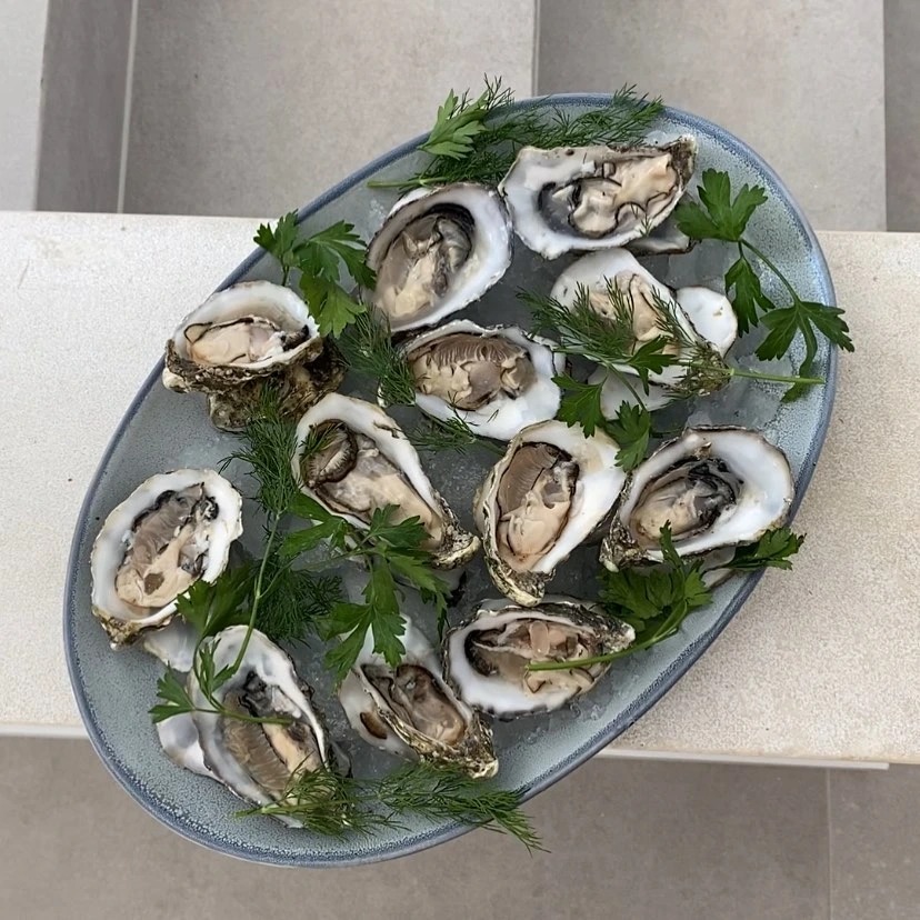 357271396_1519697941770073_1914482071329201969_n.jpg 357271396_1519697941770073_1914482071329201969_n.jpg