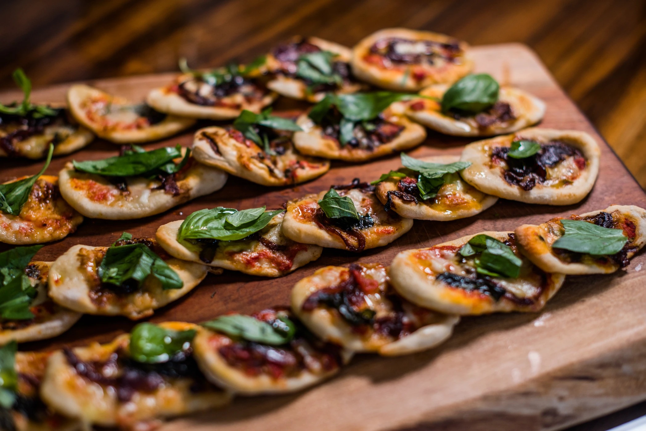 bailey230 - Copy.jpg bailey230 - Copy.jpg