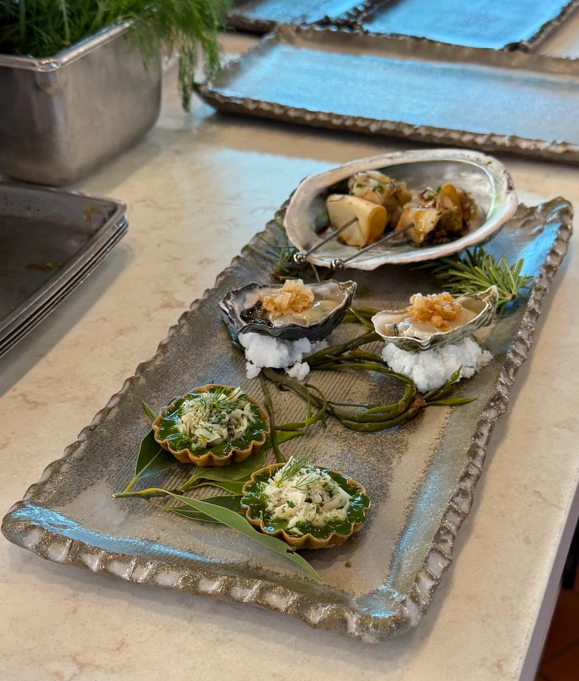 IMG_6401.jpeg IMG_6401.jpeg