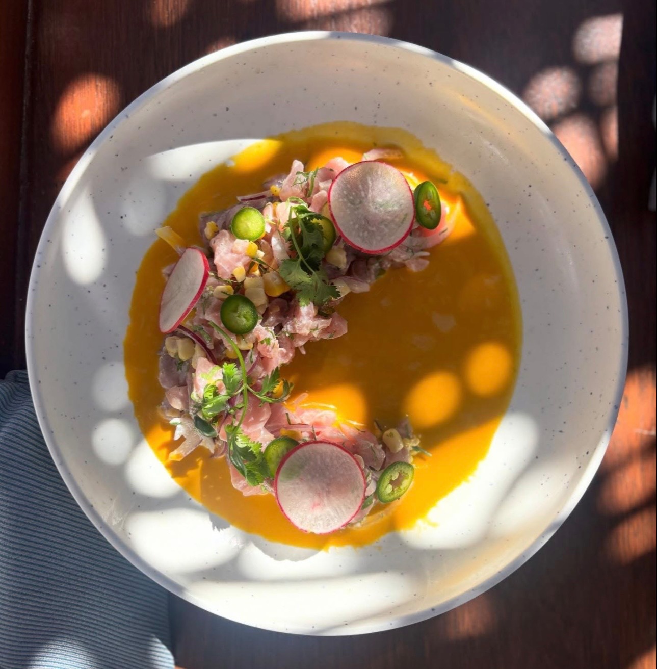 IMG_6041.jpeg IMG_6041.jpeg