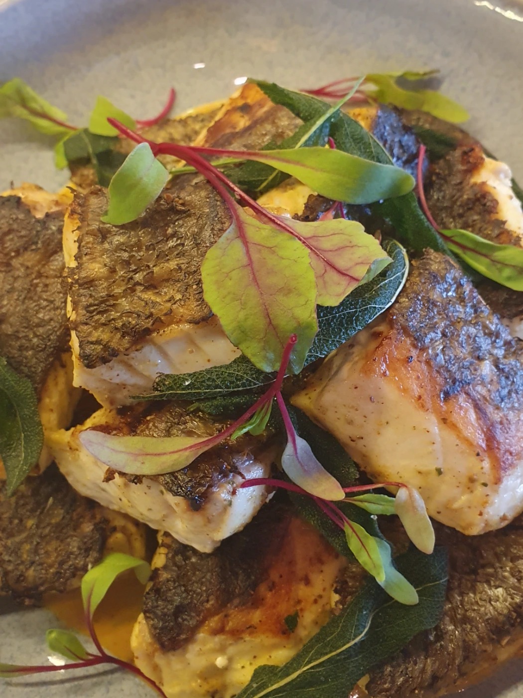 20260128_200302.jpg 20260128_200302.jpg