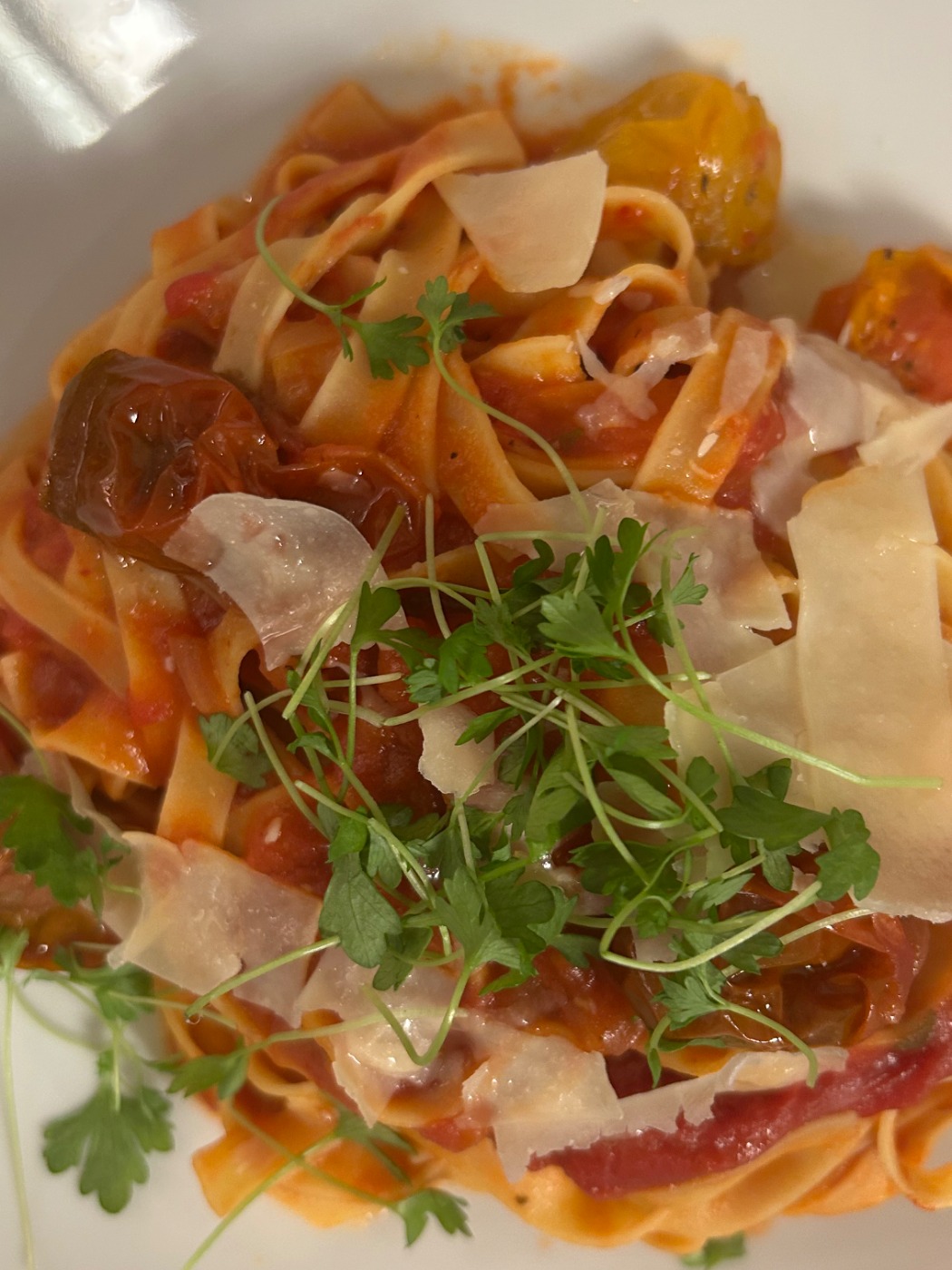 IMG_6268.jpeg IMG_6268.jpeg