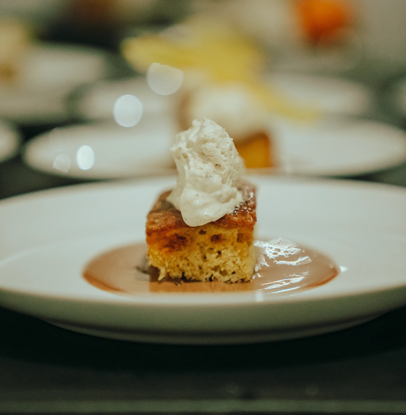 jmp09304.JPG jmp09304.JPG