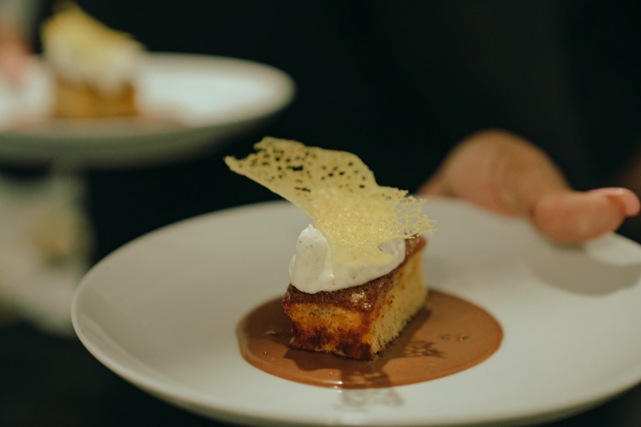 jmp09315.JPG jmp09315.JPG