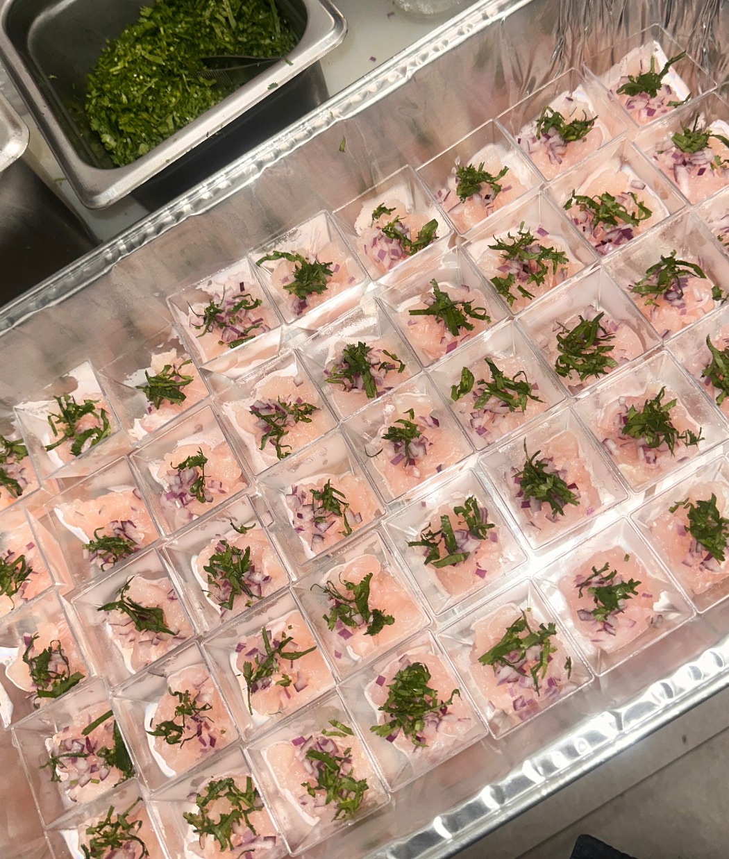 IMG_9653.jpeg IMG_9653.jpeg