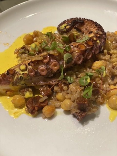 OCTOPUS .jpeg OCTOPUS .jpeg