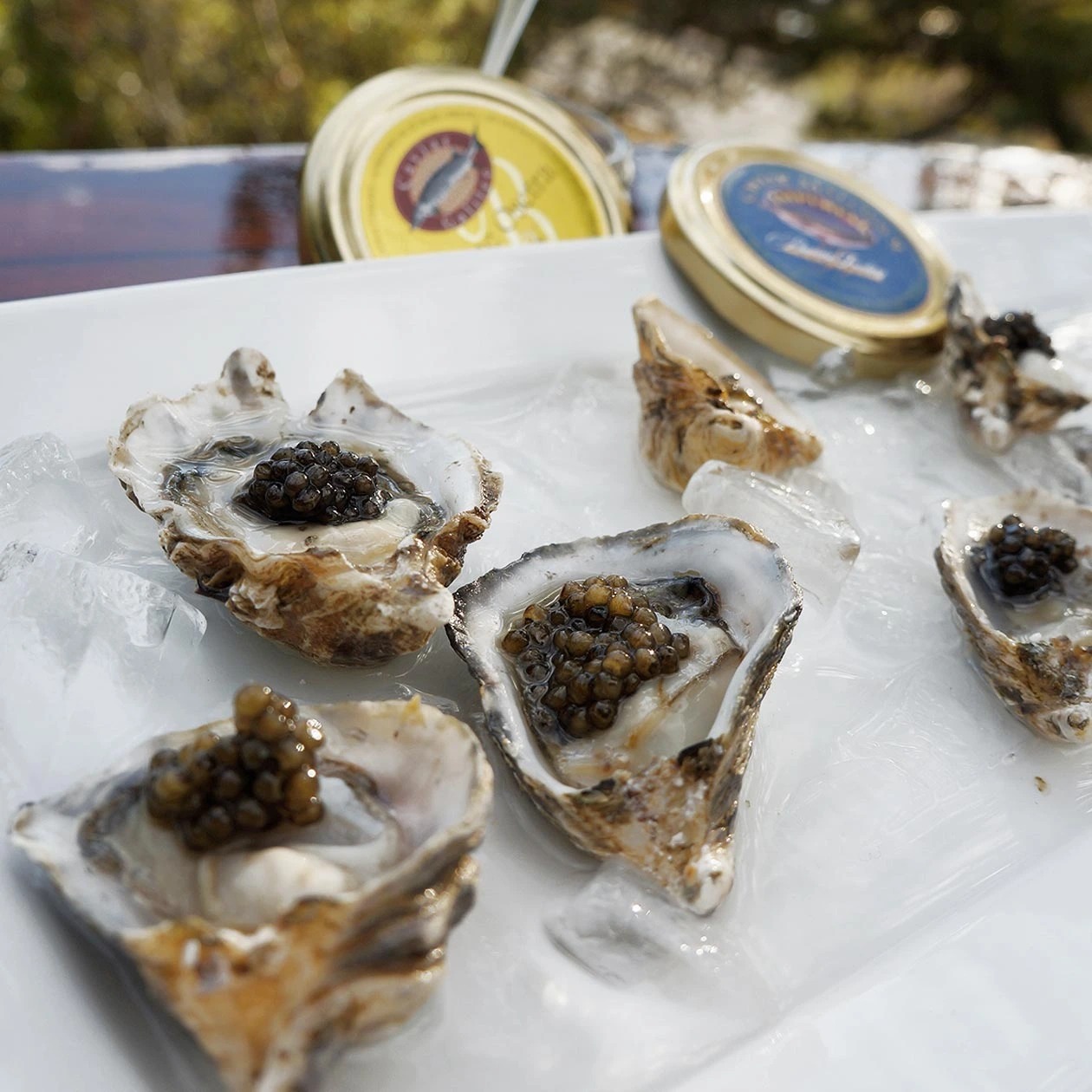 596bfc862c2e1958766293e8_oysters.jpg