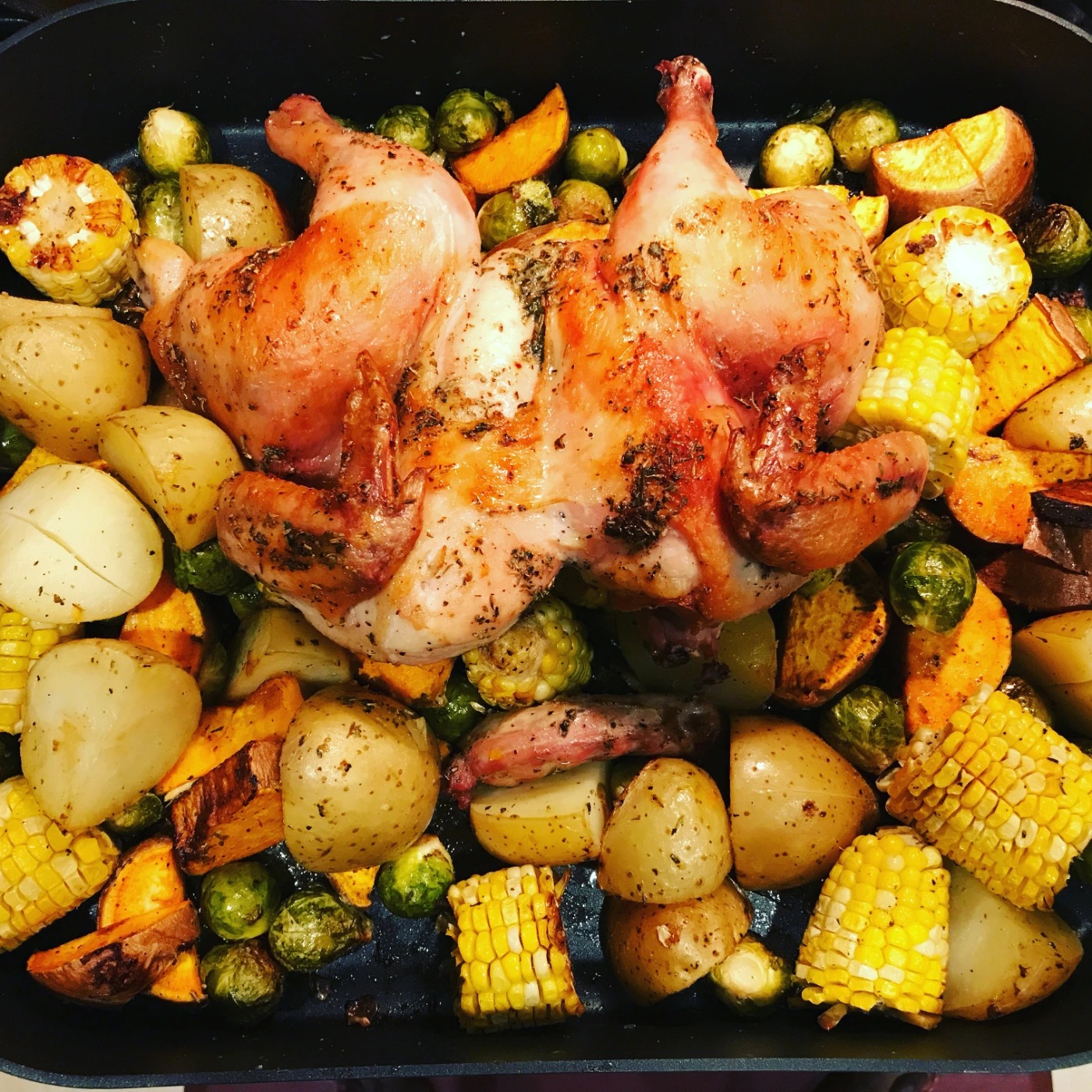 IMG_0911.png IMG_0911.png