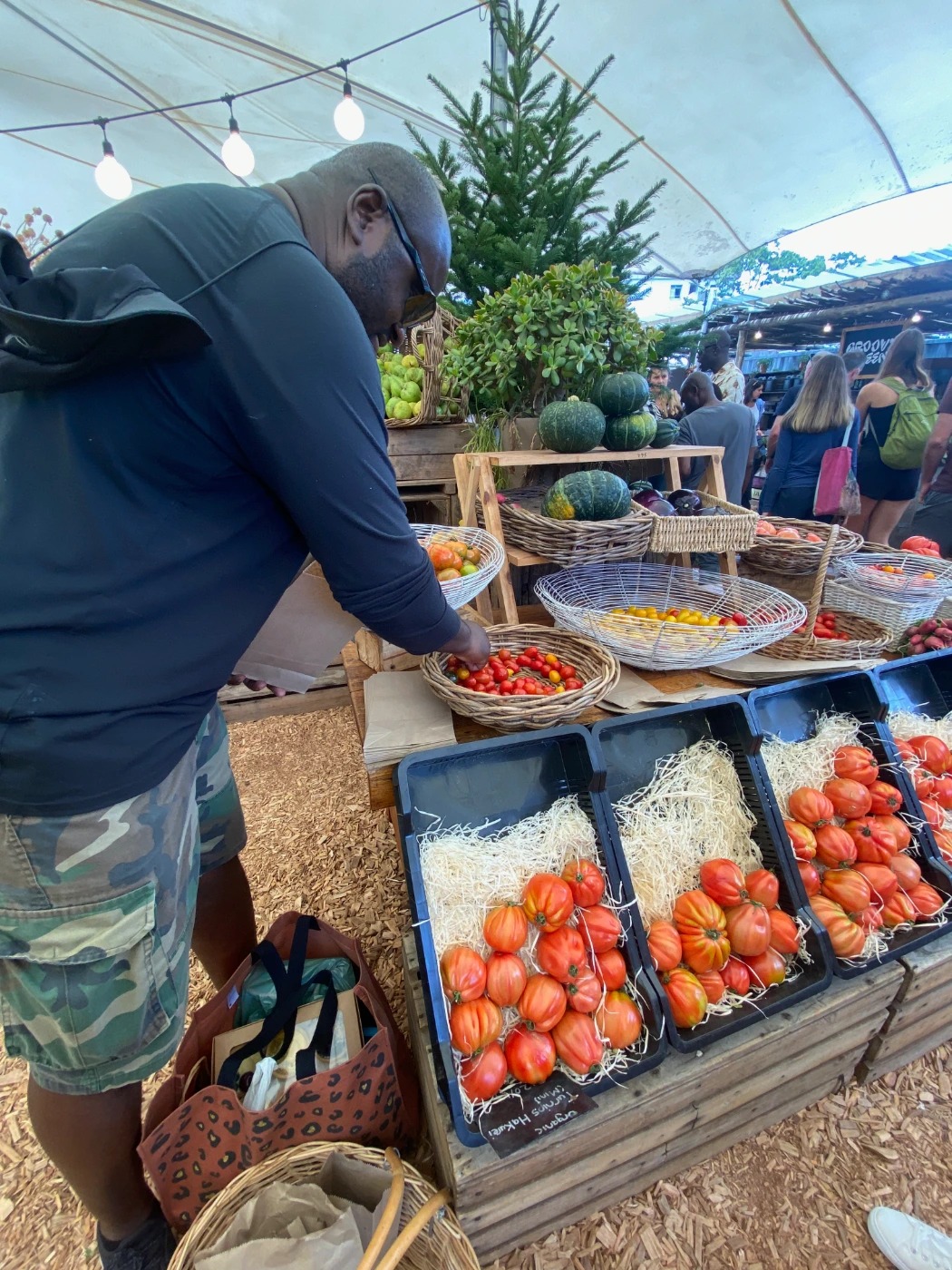 IMG_3530.png IMG_3530.png