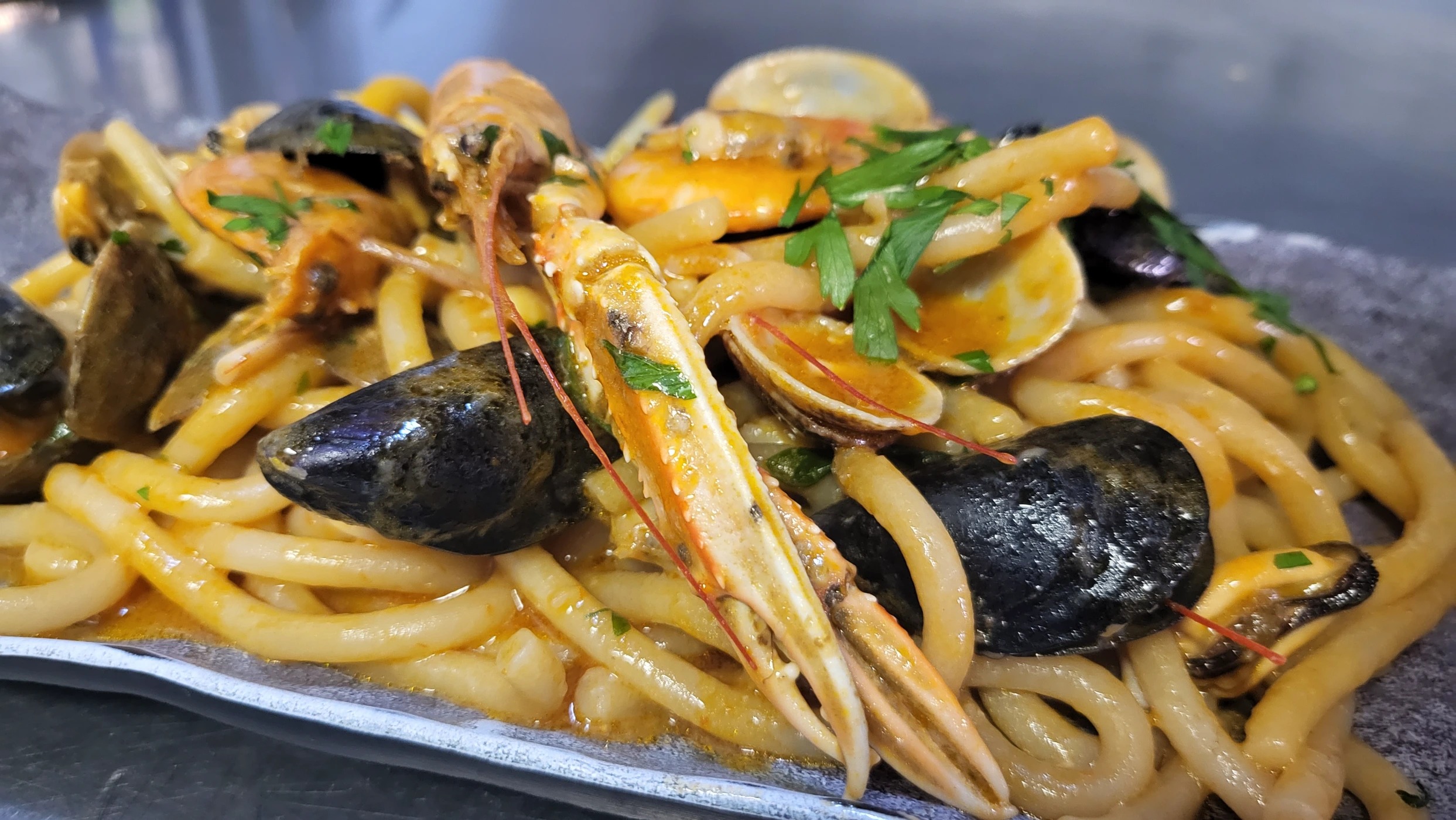 1184481.jpg 1184481.jpg